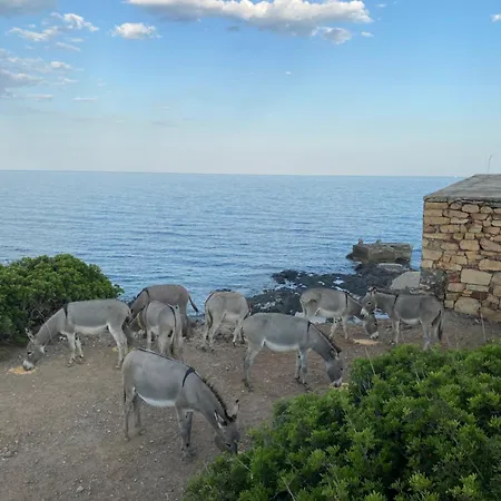 Casa Depau 2 Tertenìa