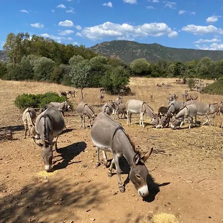 Сasa de vacaciones Casa Depau 2 *